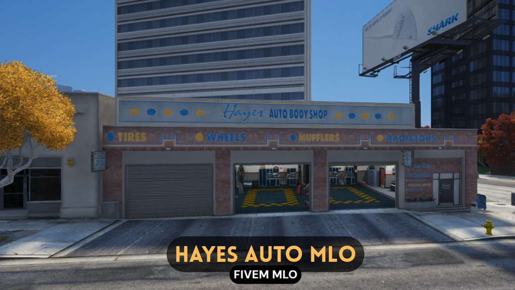 Hayes Auto MLO