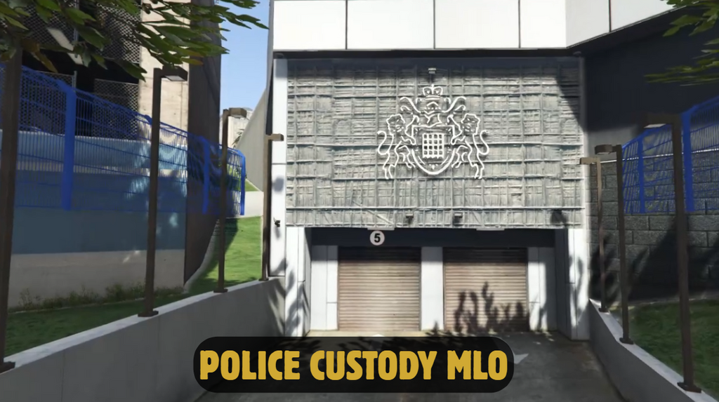 Police Custody MLO