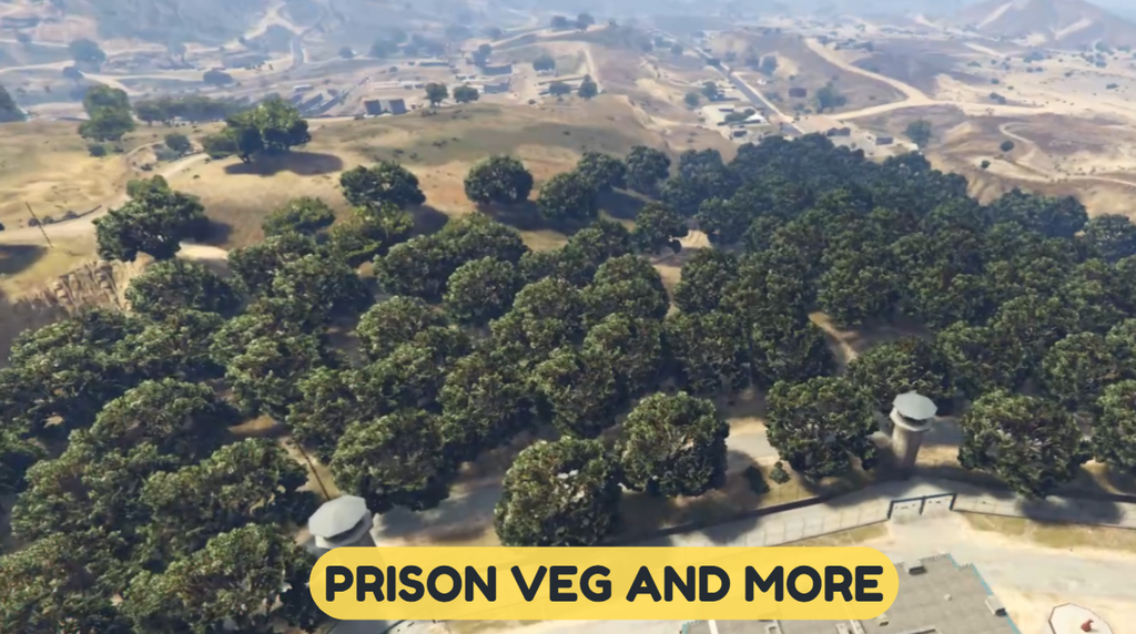 Prison Veg And More