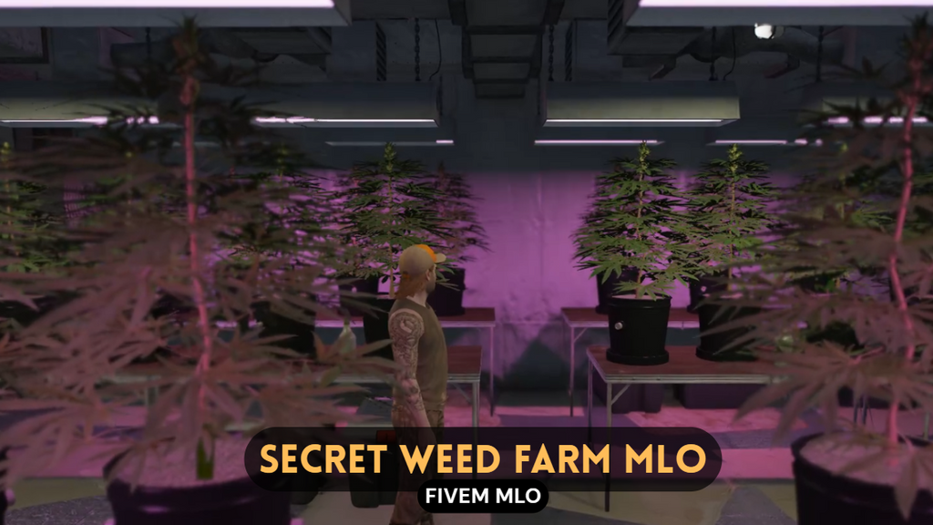 Secret Weed Farm MLO