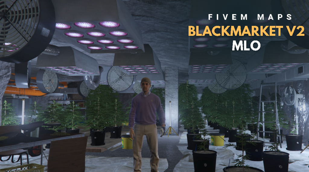BlackMarket V2 MLO